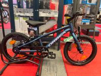 Orbea MX 16 MTB Moondust Blue-Digital Lavender (Matt) Nordrhein-Westfalen - Willich Vorschau