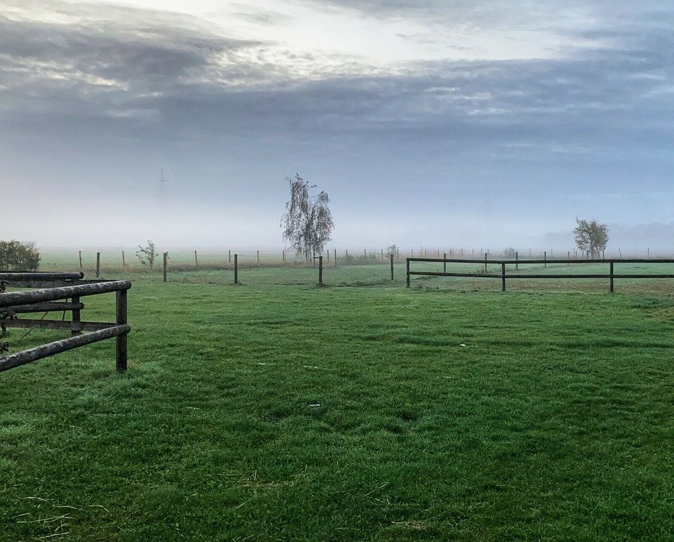 Suche Weideland oder Ackerland in Willich Anrath zum Kauf in Willich