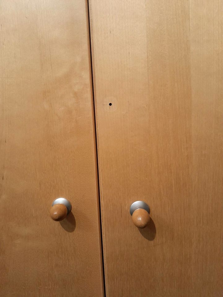 4× Pax Türen Eiche Holz 50×236(229cm) +Schaniere in Blankenfelde-Mahlow