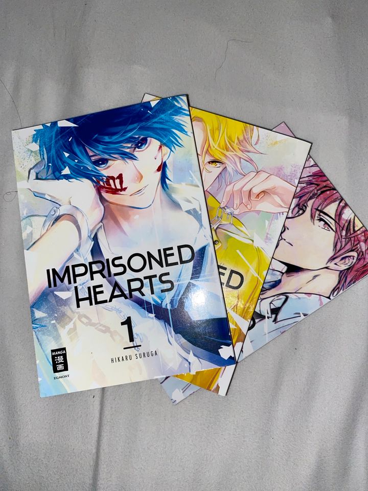 Imprisoned hearts Manga Mystery in Regensburg