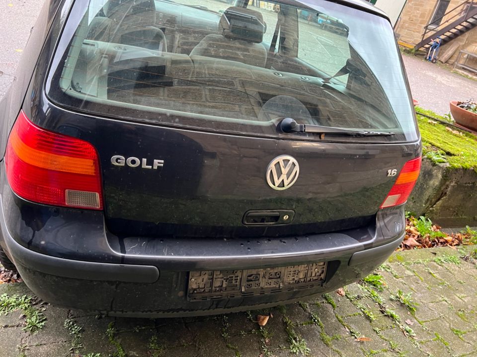 VW Golf 1,6 EZ.: 12/99, fast Vollausstattung in Gundelsheim