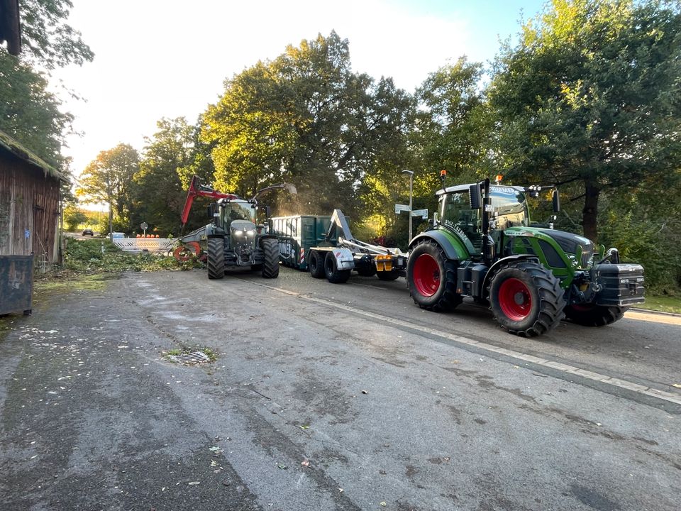 Baumfällung Forstmulchen Wimmer in Altenkunstadt