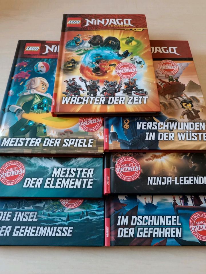 Lego Ninjago Bücher in Hohnstein