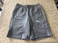 Puma Team Goal Shorts, gr.s Hessen - Taunusstein Vorschau