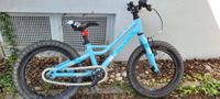 S'Cool Faxe 16 Zoll Kinderfahrrad Bayern - Landshut Vorschau