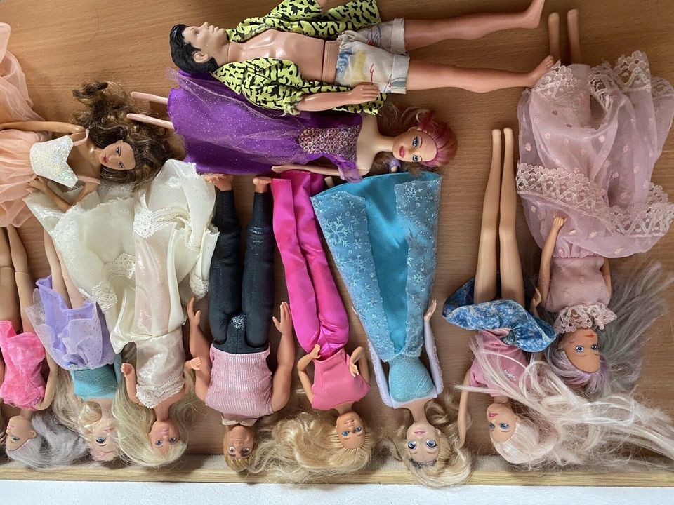Barbie Wohnmobil Camper Küche Puppe Pferd Konvolut in Windorf