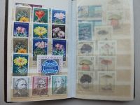 Briefmarken DDR 1974 Sachsen-Anhalt - Tarnefitz Vorschau