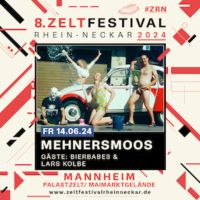 Mehnersmoos Ticket Mannheim Rheinland-Pfalz - Mainz Vorschau