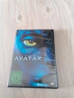 Avatar  DVD  Neu Bayern - Seefeld Vorschau