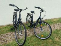 Fahrräder von Camax provo 26er und 28er Sachsen-Anhalt - Stendal Vorschau