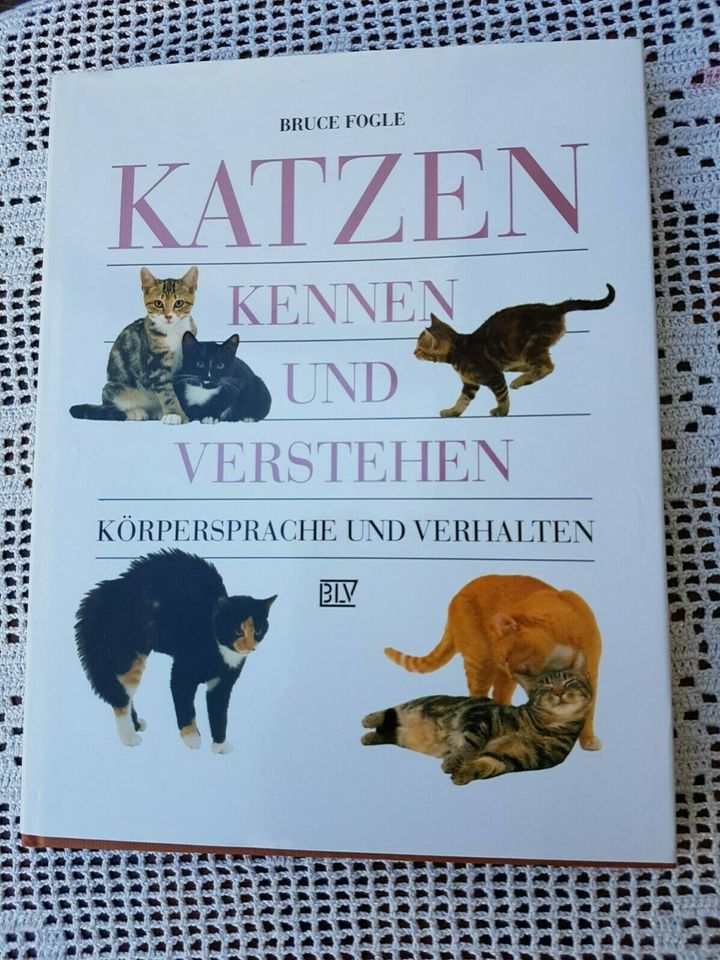 Katzen kennen und verstehen in Westheim