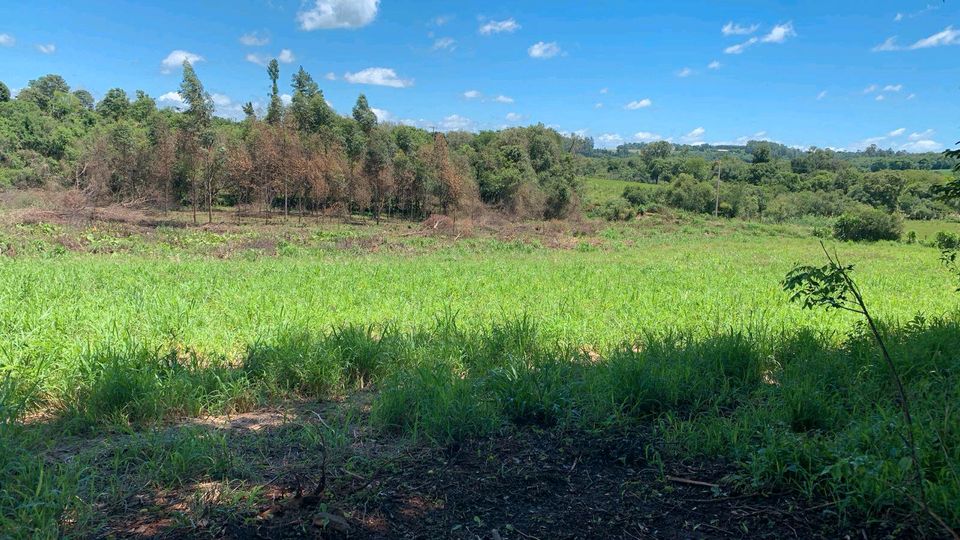 1/2 - 1,6 Hektar mit guter Infrastruktur in Bella Vista, Paraguay in Langenbrettach