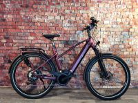 eBikeMANUFAKTUR 13ZEHN XT 11-Gang BOSCH CX 625Wh Disc Trapez Niedersachsen - Munster Vorschau