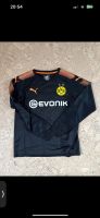 Torwart Trikot BVB Borussia Dortmund Bürki Kiel - Wellsee-Kronsburg-Rönne Vorschau