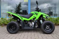 ACCESS XTREME 300 Supermoto GREEN Quad Sportquad Neu LOF Niedersachsen - Horneburg Vorschau