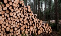 Langholz verschiedene Größen und Längen Bayern - Diespeck Vorschau