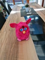 Furby von Hasbro in pink Hessen - Waldkappel Vorschau