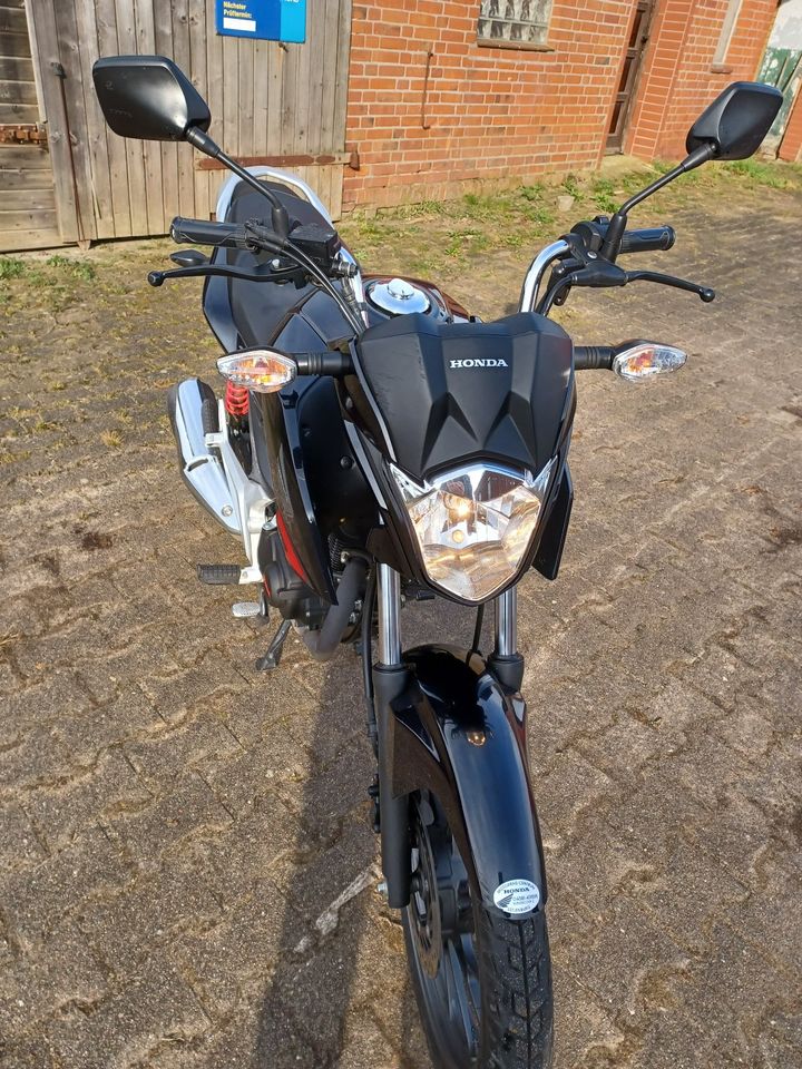 Honda CB125F in Lütau