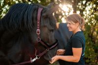 Physiotherapie für Pferde Sachsen - Lawalde Vorschau