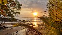 Costa Rica 2500-5000 qm Bauland 2 km vom Meer nur 19 €/qm ☎ 01788577605 (nur WhatsApp) Thüringen - Erfurt Vorschau