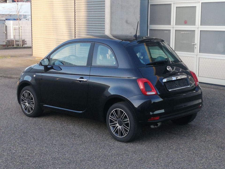 Fiat 500 Pop Star Klima in Landau in der Pfalz
