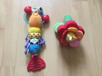 Lamaze Hummer + HABA Greifling Blume Schleswig-Holstein - Oststeinbek Vorschau