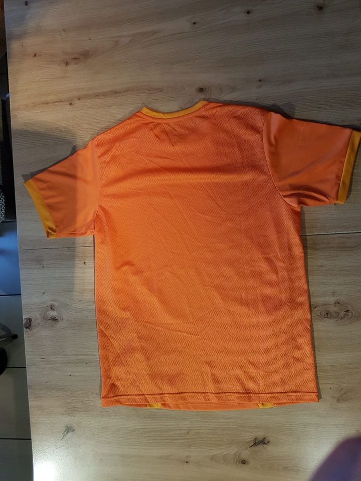 Sportshirt T-Shirt Puma drycell Gr. 176 in Rödermark