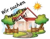 Wir suchen ein Haus zu Miete in Verden Niedersachsen - Verden Vorschau