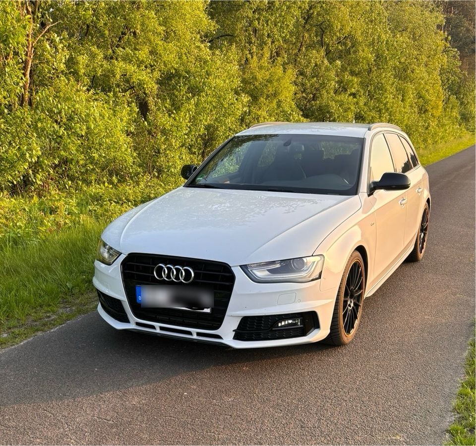 Audi A4 3.0TDI Quattro in Esterwegen