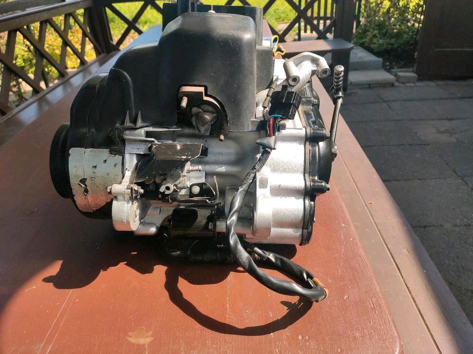 Honda Bali 50 Motor . in Memmelsdorf