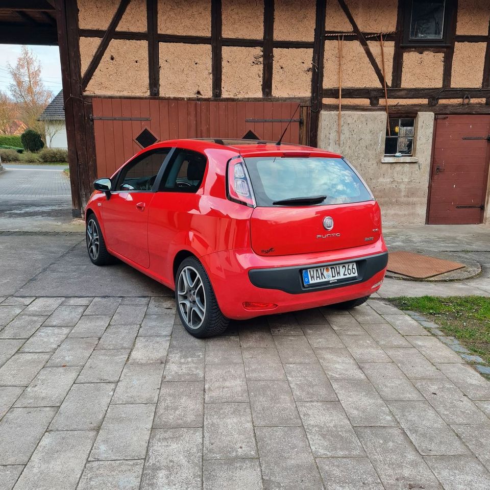 Fiat Punto Evo 1.4 MultiAir Turbo 16V Start&Stopp in Hörselberg-Hainich