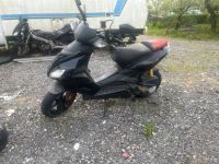 Aprilia sr 50 limited Edition 2012 tausch Baden-Württemberg - Heilbronn Vorschau