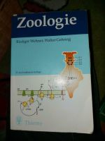 Buch Zoologie Wehner und Gehring 23. Auflage Niedersachsen - Suhlendorf Vorschau