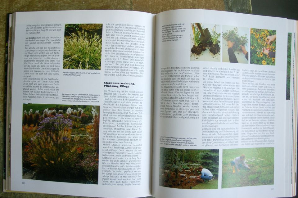 Buch - Großer Gartenratgeber - Martin Stangl - gebunden in Bochum