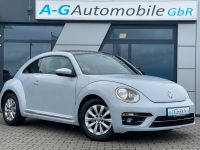 Volkswagen Beetle 1.2 TSI Design BMT/Navi-/PDC/Modellpflege Südbrookmerland - Georgsheil Vorschau