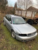 Audi A4 B5 schlachtefest Brandenburg - Luckau Vorschau