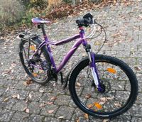 Fahrrad Morrison Mountainbike Damen S 27,5 Baden-Württemberg - Tauberbischofsheim Vorschau