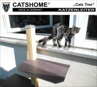 Katzentreppe Katzenleiter Catstree für Balkon outdoor CATSHOME Bayern - Augsburg Vorschau
