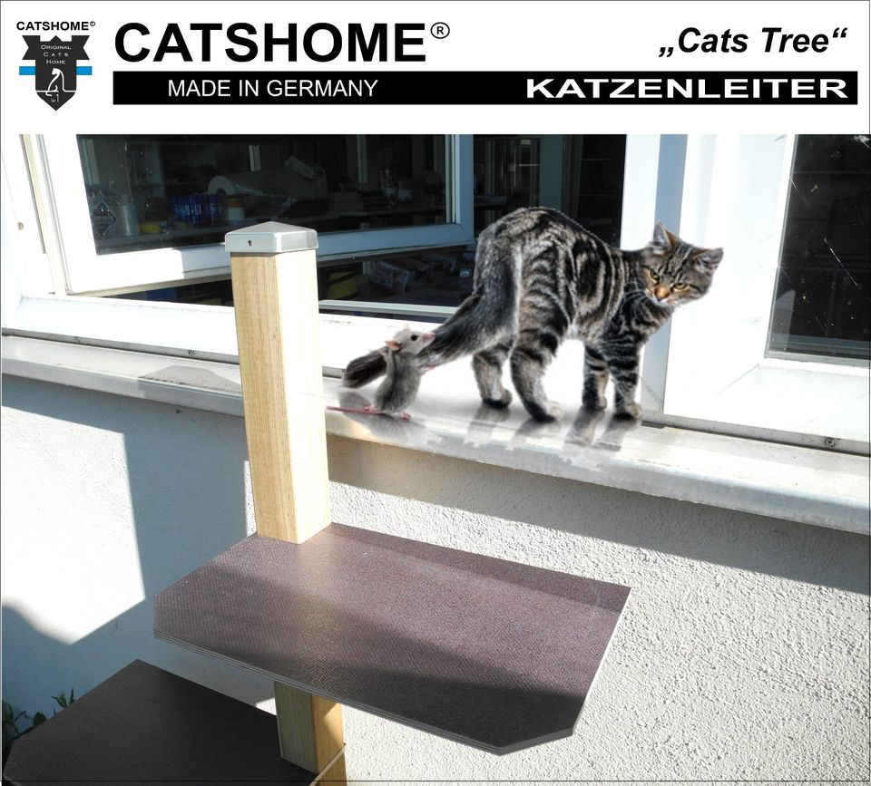 Katzentreppe Katzenleiter Catstree für Balkon outdoor CATSHOME in Augsburg