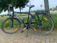 Fahrrad Pegasus Poazza 21 Gang  28 Zoll Herrenfahrrad Niedersachsen - Wolfsburg Vorschau