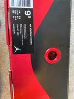 Air Jordan 11 Retro zu verkaufen mit selbst Abholer Niedersachsen - Burgwedel Vorschau