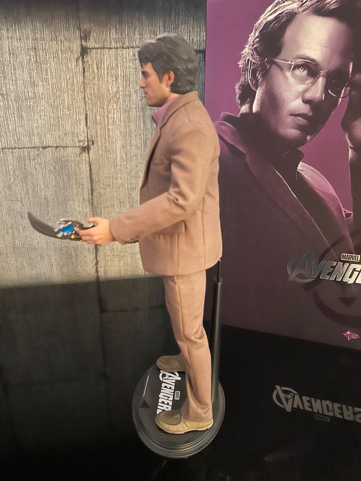 Hot Toys Bruce Banner in Saarlouis