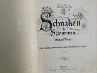 Schnaken und Schnurren ( Kinderbuch von 1900 ) Mecklenburg-Strelitz - Landkreis - Woldegk Vorschau
