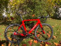 Wilier Cento 10 SL mit Campagnolo. Kein Canyon, Specialized, Trek Sachsen - Lugau Vorschau