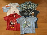 T-Shirt-Paket - Puma, H&M, C&A, Größe 80/86 Mülheim - Köln Dünnwald Vorschau