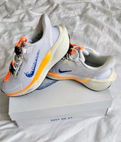 Nike Pegasus EasyOn Sachsen - Plauen Vorschau
