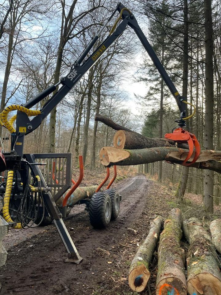 Rückewagen Kts Sbf 7000 Forstkran 5,4m Auflaufbremse Eigenöl ABE in Kaltenlengsfeld