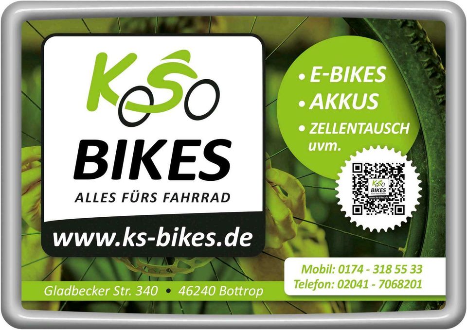 Phylion Akku 36V 14,5Ah Joycube Wall-ES für E-Bikes Fischer in Bottrop