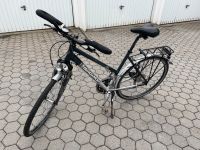 Trekkingrad Damen Fahrrad 28 Zoll Bergamont Vitesse RS Bayern - Hof (Saale) Vorschau