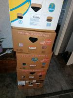 riesiges Damenbekleidungspaket Kleiderpaket 36/38 Niedersachsen - Westoverledingen Vorschau